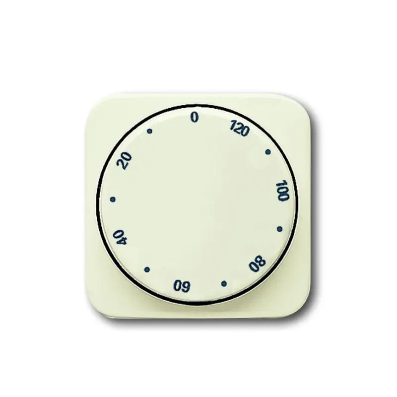 Ambachtelijk ABB Busch-Jaeger centraalplaat, SI, voor tijdschakelaar, cr&egrave;me