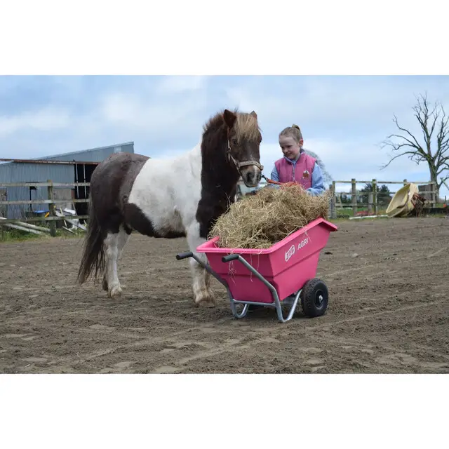 JFC Junior Kiepkruiwagen Roze - 125 L Populair