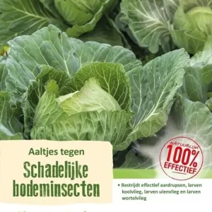 ECOstyle Aaltjes (FC) Bestrijdingsmiddel Tegen Aardrupen - 60m² Gereduceerde Prijs