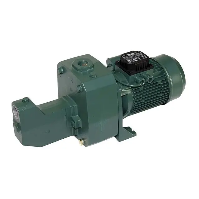 Betrouwbaar Bosta DAB Jetpomp gietijzer 1 1/4" x 1" binnendr. 6bar 7,2A 230VAC Groen