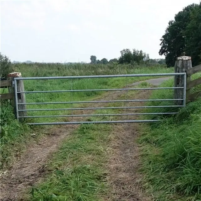 Gegalvaniseerd Landhek (5-Stangs) - 500 x 100 Cm Snelle Levering