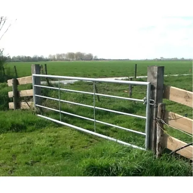 Gegalvaniseerd Landhek (5-stangs) - 400 x 100 Cm Lage Prijs