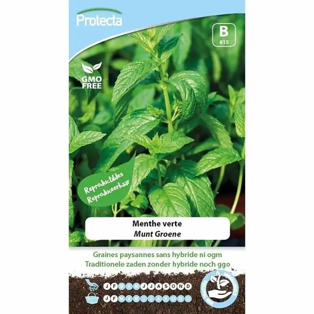 Seizoensaanbieding Protecta Groente Zaden Groene Munt