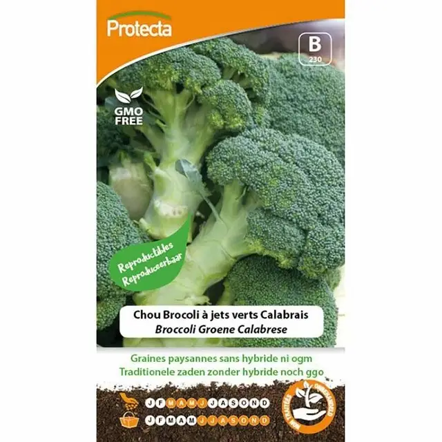 Protecta Groente Zaden Broccoli - Groene Calabrese Fabrieksprijs