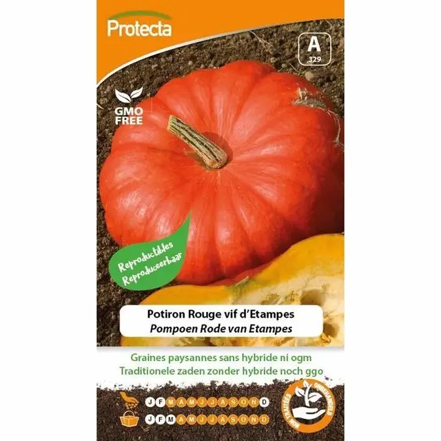 Snelle Levering Protecta Groente Zaden Pompoen - Rood van Etampes