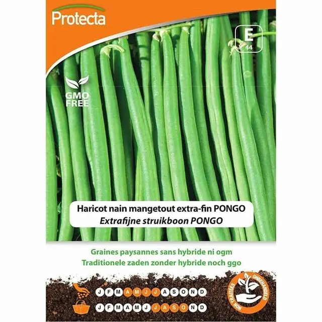 Protecta Groente Zaden Struikboon - Pongo (Extra Fijn) Speciale Aanbieding