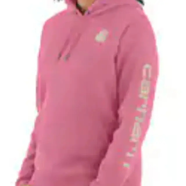 Carhartt 102791 Sweaters Houtroos XS Hete Deal