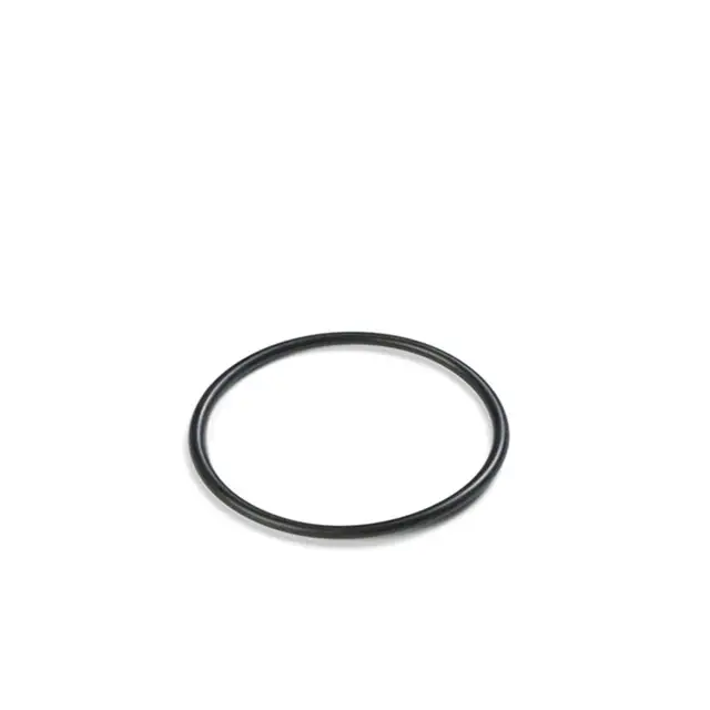 Intex O-Ring Voor Slang (Ø 38 mm) Topkwaliteit