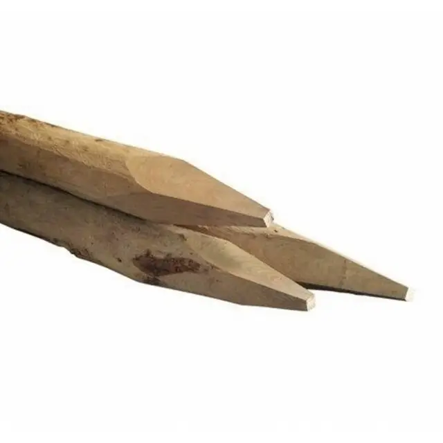 Alleen Vandaag Afrasteringspaal (Kastanjehout) - 180 / 10 CM