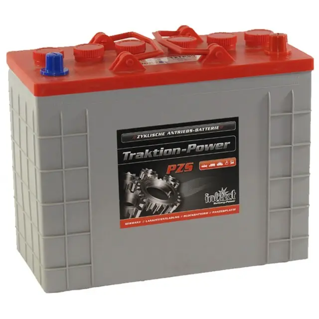 Luxe Intact Traction Power PzS Accu 110 Ah