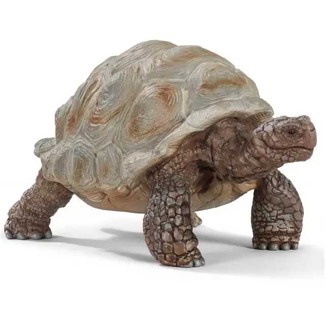 schleich WILD LIFE Reuzenschildpad - 14824 Gereduceerde Prijs