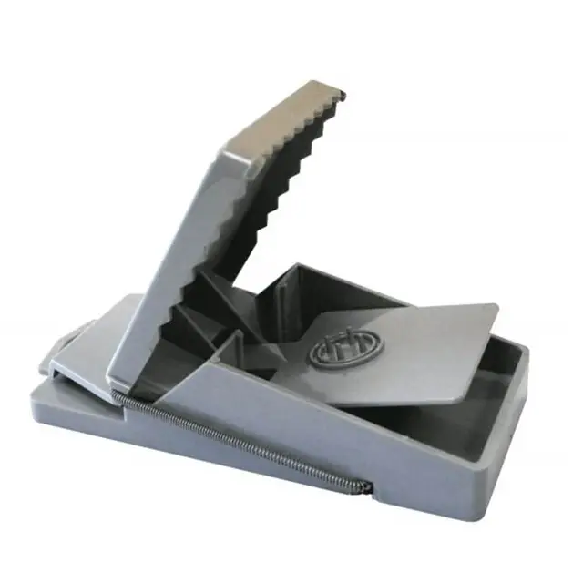 DE BESTE RATTENVAL Trendy