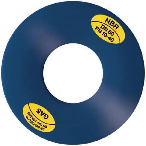 Authentiek Flenspakking - DN125 - PN10/16 - NBR / STAAL- 141x192x5