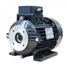 Actieprijs Nicolini elektromotor 5.5kW - 230/400V - holle as D=24 mm - IEC 112