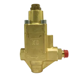 Ambachtelijk Drukregelautomaat - Interpump K9