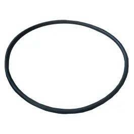 O-ring voor filterglas - 1" Betrouwbaar