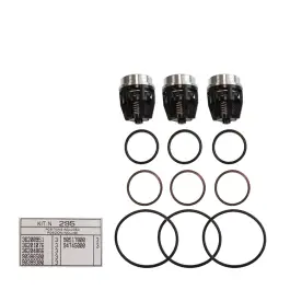 Beperkt Aanbod Interpump Kit 295 - Perskleppen AB-serie (3x)