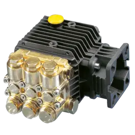 Alleen Vandaag Interpump TT1511C Plunjerpomp met holle as 3/4" en flens voor benzinemotor SAE J 609-A - As rechts