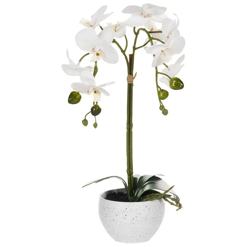 Beliani Kunstplant Orchid Groen Wit 10x16x42 Cm Laatste Versie