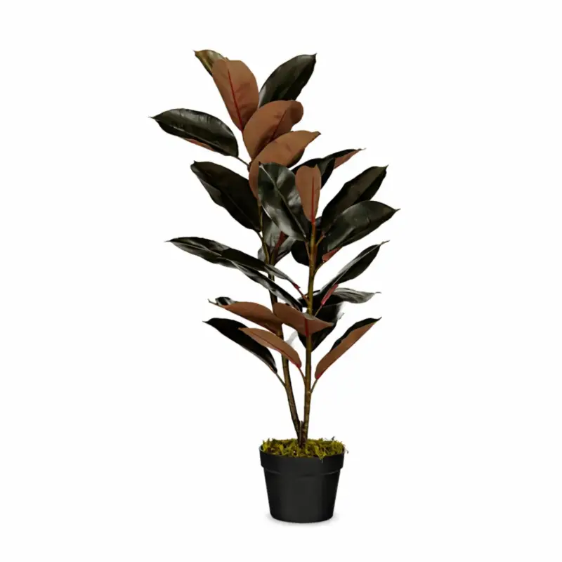 Beperkt Aanbod Mica Decorations Rubberplant H90 X D70 Cm Rood