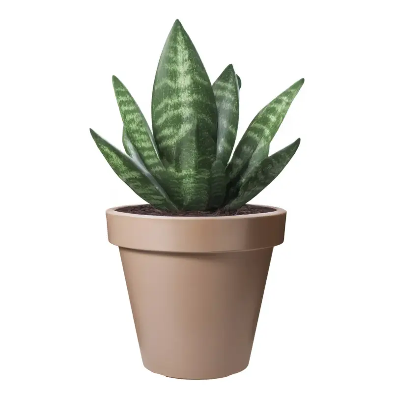 Authentiek Pro Garden Bloempot - Mokka Bruin - Rond - D25 Cm - Kunststof