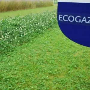Trendy Ecogazon (5 kg)