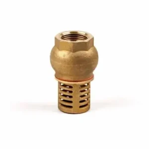 Voetklep bolmodel 1/2″ Koop Vandaag